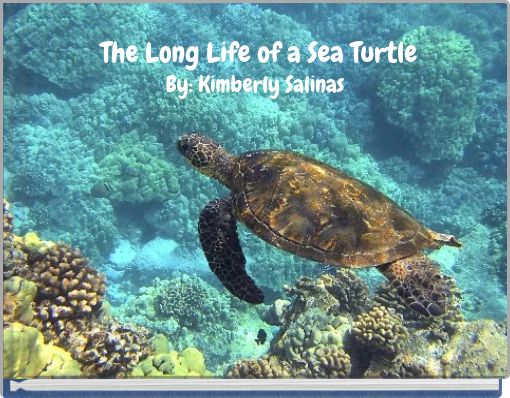 The Long Life of a Sea Turtle