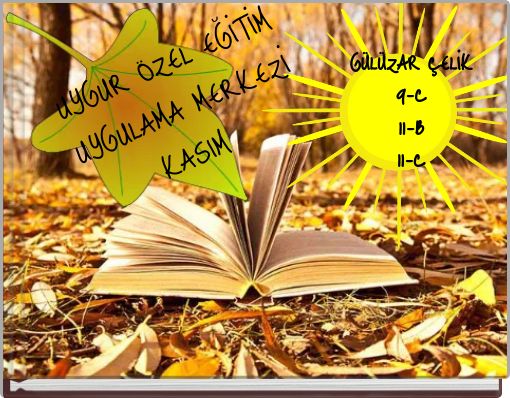 Front cover of 'UYGUR ÖZEL EĞİTİM UYGULAMA MERKEZİKASIM' 