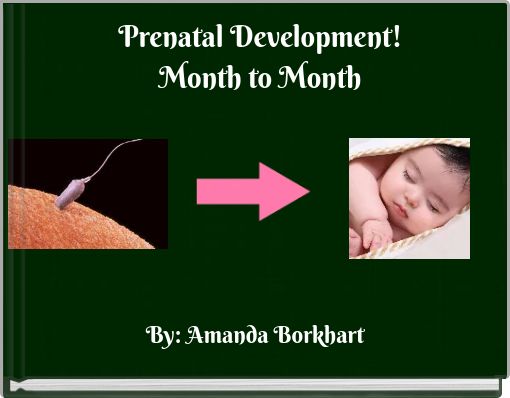Prenatal Development!Month to Month