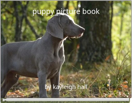 puppy picture book