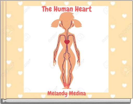 The Human Heart