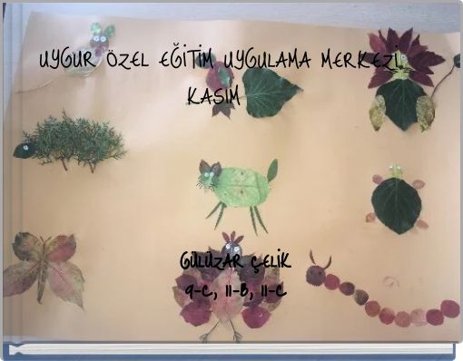 Front cover of 'GÜLÜZAR ÇELİK9-C, 11-B, 11-C' 