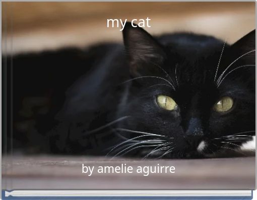 my cat