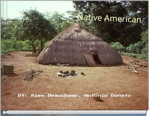 Front cover of 'Native American' 
