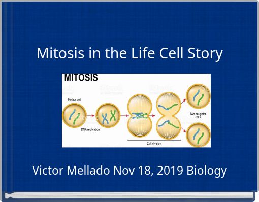 Mitosis in the Life Cell Story