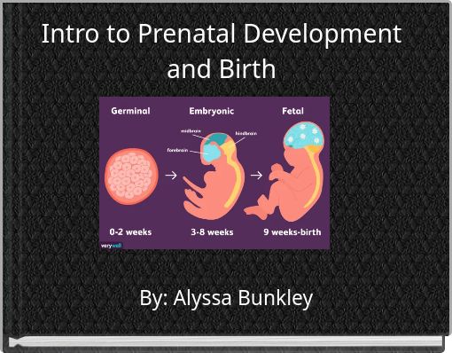 Intro to Prenatal Development and Birth