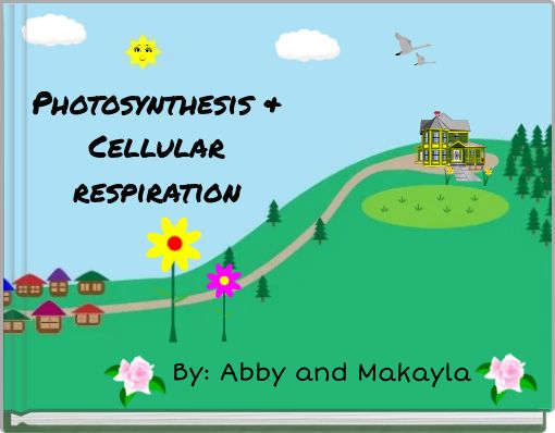 Front cover of 'Photosynthesis & Cellular respiration' 