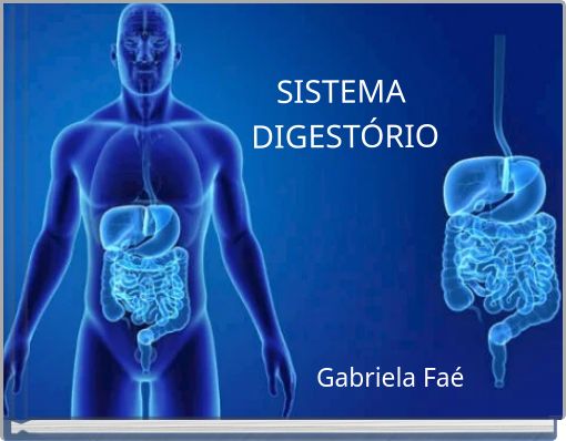 SISTEMA DIGEST&Oacute;RIO