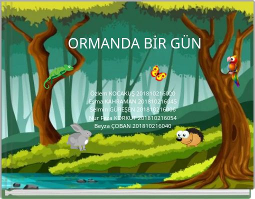 ORMANDA BİR GÜN