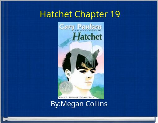 Hatchet Chapter 19