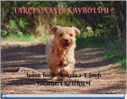 TARÇIN NASIL KAYBOLDU ?