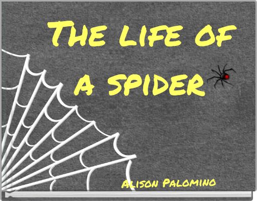 The life of a spider