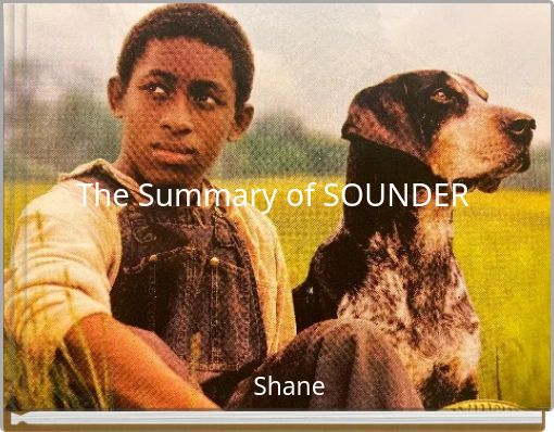 The Summary of SOUNDER