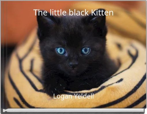 Book Cover for: The little black Kitten