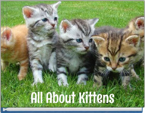 All About Kittens