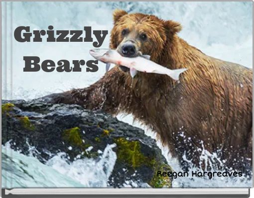 Grizzly Bears