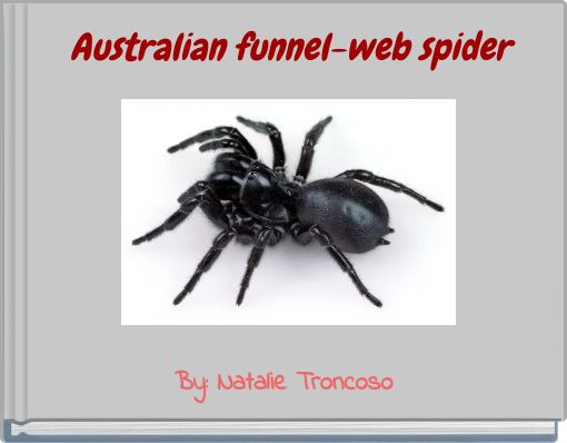 Australian funnel-web spider