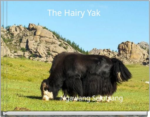 The Hairy Yak