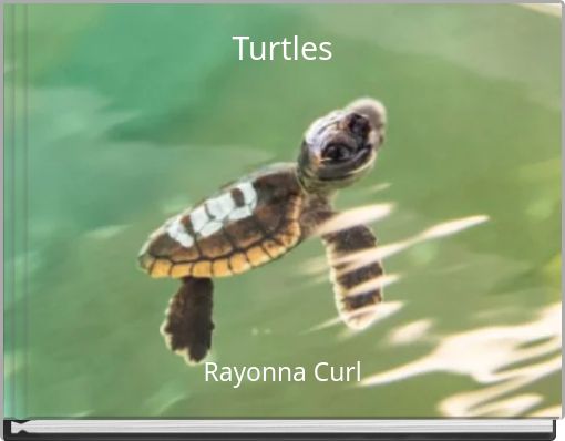 Turtles