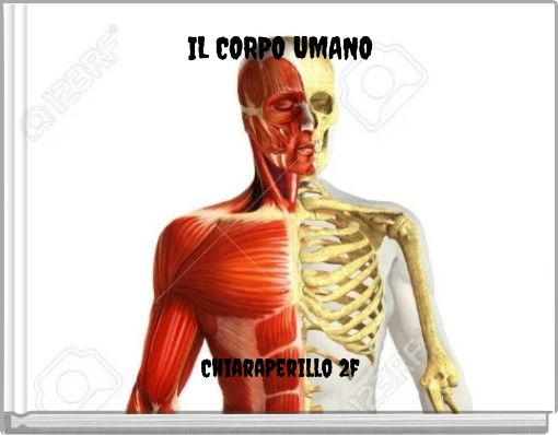 IL CORPO UMANO