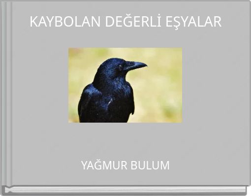 Front cover of 'KAYBOLAN DEĞERLİ EŞYALAR' 