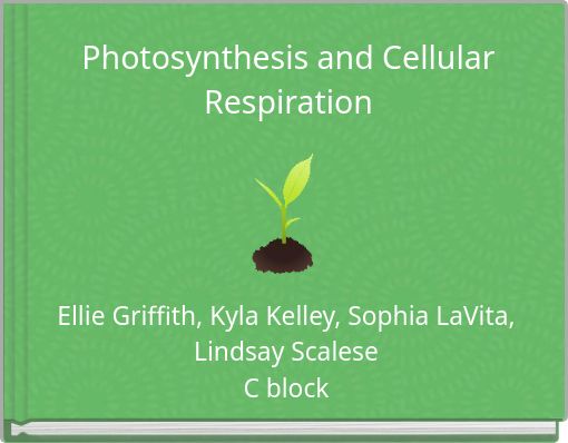 Photosynthesis and Cellular Respiration