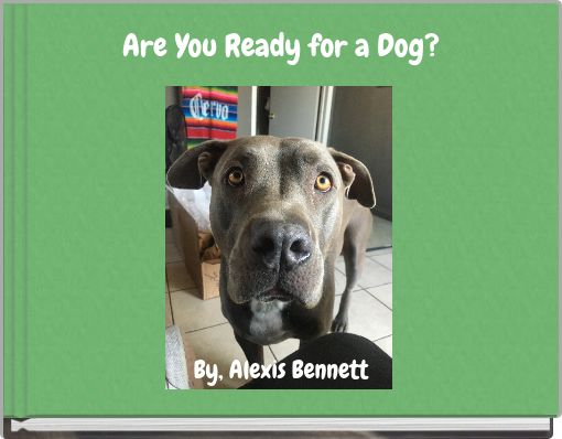 Are You Ready for a Dog?