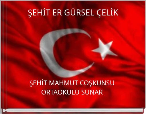 ŞEHİT ER GÜRSEL ÇELİK