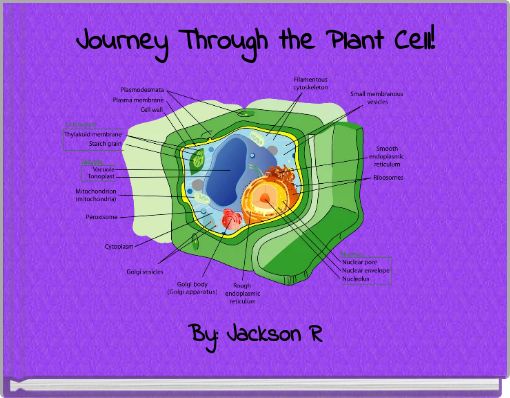 Journey Through the Plant Cell!