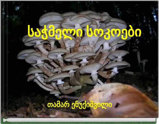 საჭმელი სოკოები