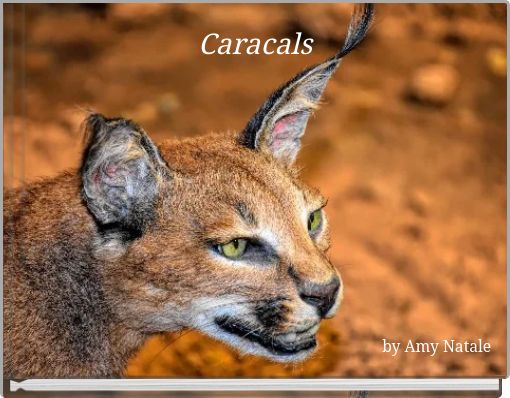 Front cover of 'Caracals' 