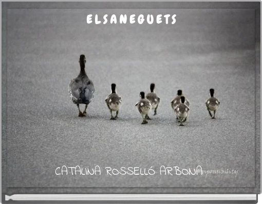 Front cover of 'E L S A N E G U E T S' 