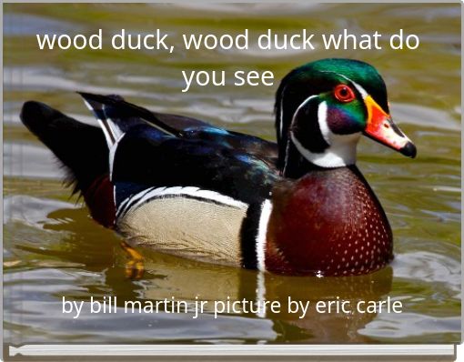 wood duck, wood duck what do you see