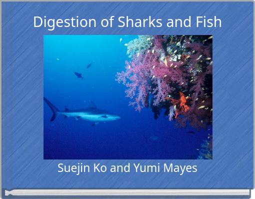 Digestion of Sharks and Fish