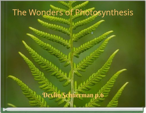 The Wonders of Photosynthesis