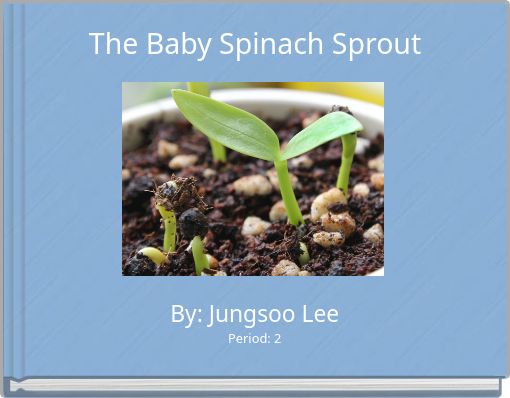 The Baby Spinach Sprout