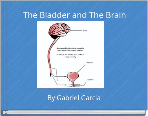 The Bladder and The Brain