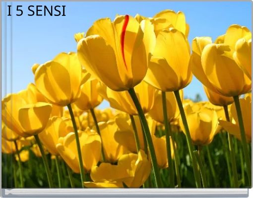 I 5 SENSI