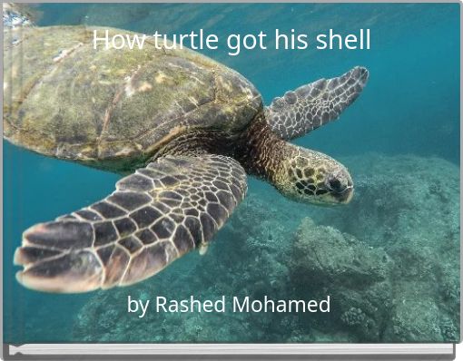 How turtle got his shell