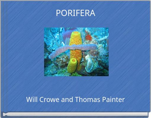 PORIFERA