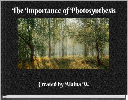 The Importance of Photosynthesis