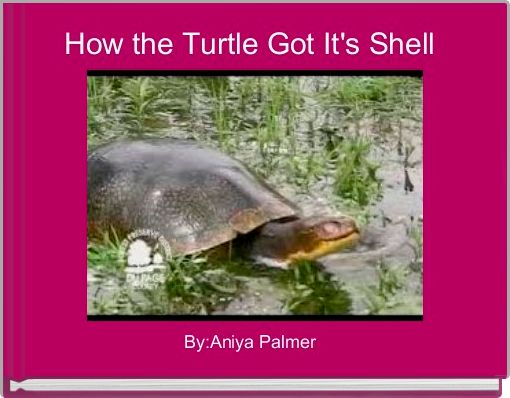 How the Turtle Got It's Shell 