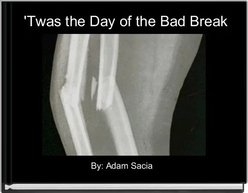 Front cover of ''Twas the Day of the Bad Break' 