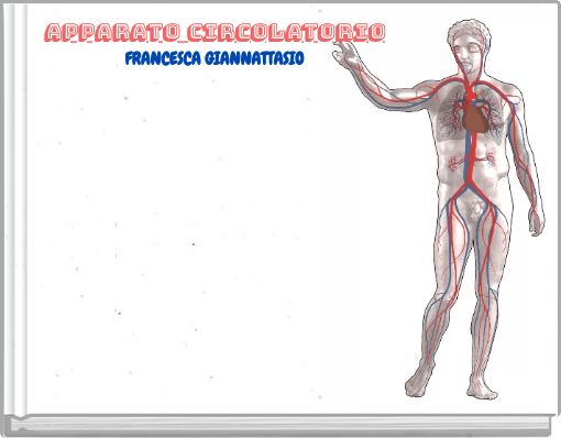 APPARATO CIRCOLATORIO FRANCESCA GIANNATTASIO