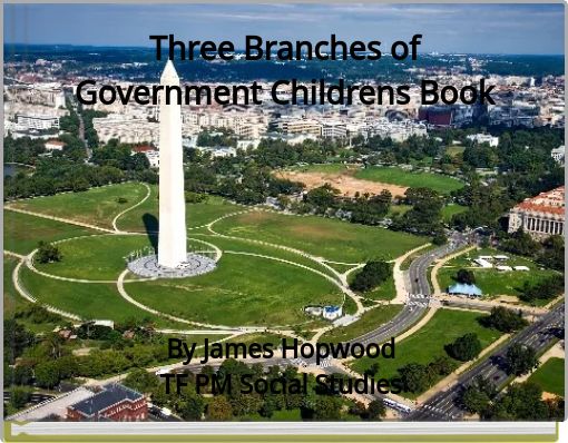 Three Branches of Government Childrens Book