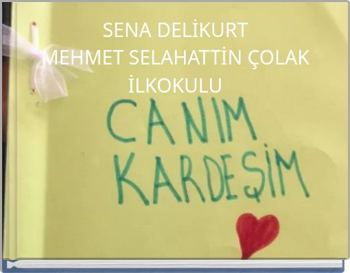 SENA DELİKURTMEHMET SELAHATTİN ÇOLAK İLKOKULU