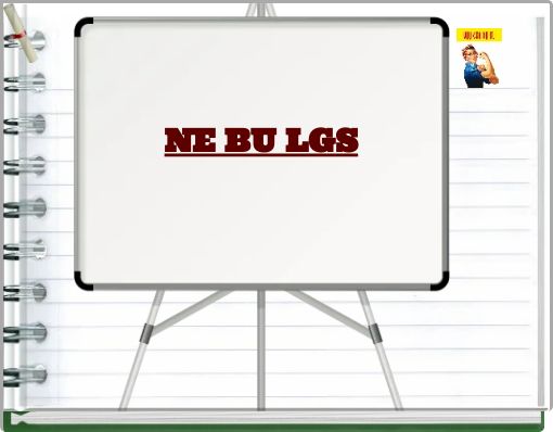 NE BU LGS