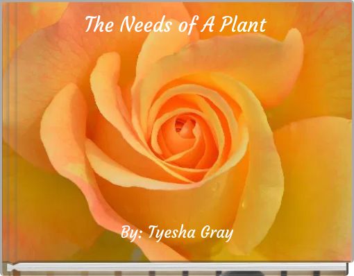 The Needs of A Plant