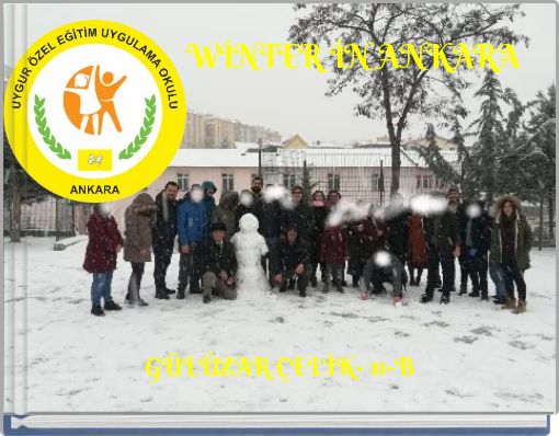 Front cover of 'WİNTER İN ANKARA' 