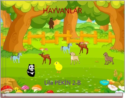 HAYVANLAR